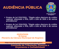Audiência Pública PL 2335/2026 e PL 2336/2026