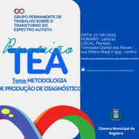 Reunião TEA - Dia 28/08/2025