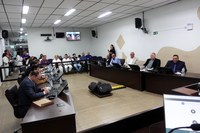 Vereadores de Registro aprovam PL sobre o controle populacional de cães e gatos nas ruas